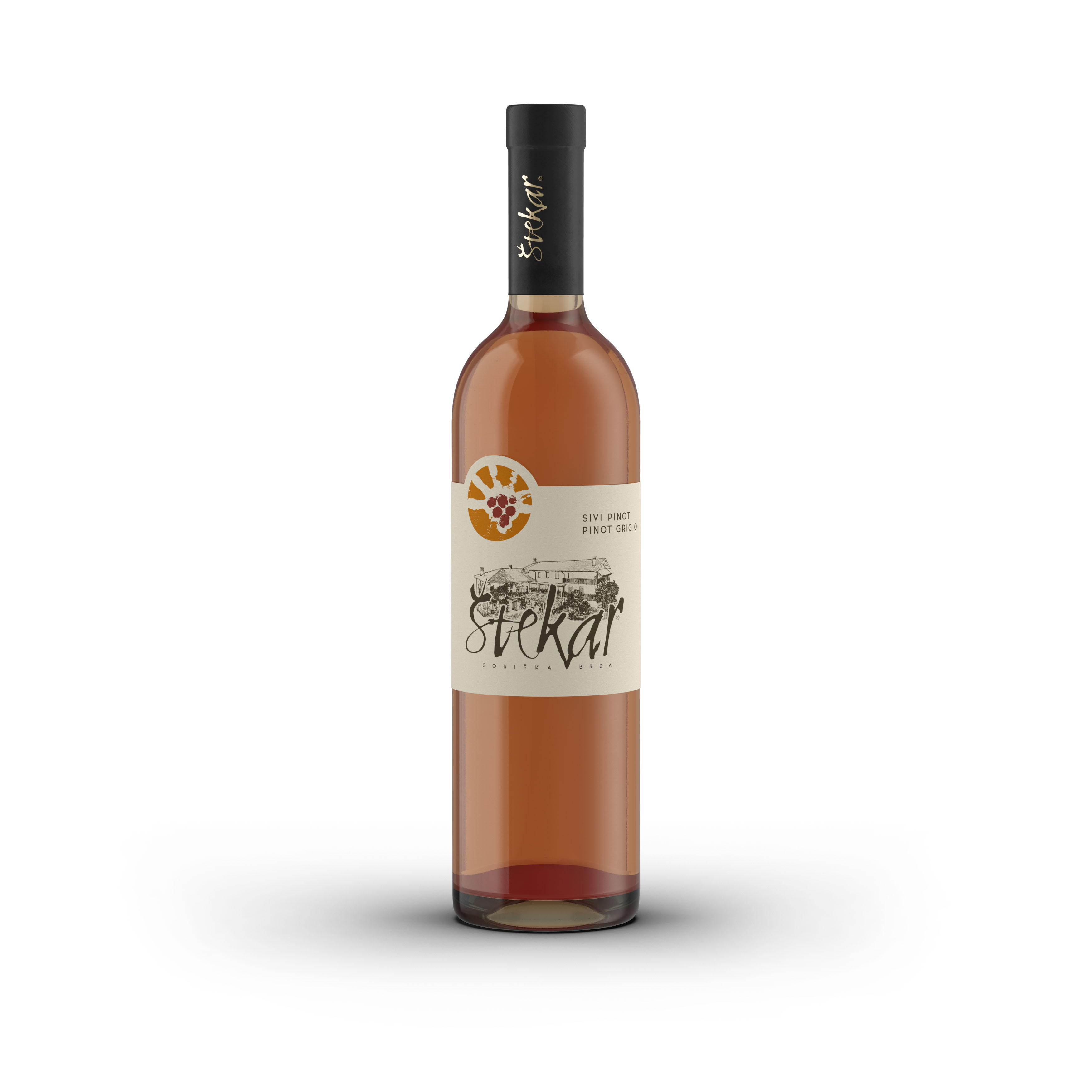 Sivi pinot 2023